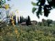 Podere2